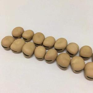 Bán Đậu Khô Fava <span class=keywords><strong>Beans</strong></span> - Product Image 3