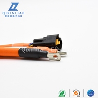 Nouvel adaptateur de câble de décharge pour véhicule électrique EV Stinger 8.0-6.0, câble d'alimentation de 500 mm de longueur