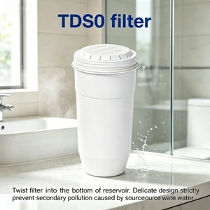 Zero Water Gümüş İyonlu Antibakteriyel Su Sürahisi Yedek Filtresi Çevre Dostu 2'li Paket Gıda Sınıfı LFGB Sertifikalı Ağır Hizmet Tipi - Product Image 1