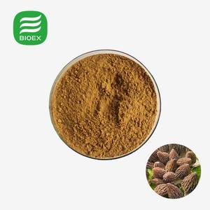 Extrait naturel de Morchella de haute qualité Extrait de Morchella Esculenta de qualité supérieure <span class=keywords><strong>Prix</strong></span> Extrait de Morel noire Champignon Morchella - Product Image 1