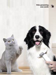 <span class=keywords><strong>Spazzola</strong></span> 3 in 1 per Rimozione Peli di Animali Domestici con Rullo, per Cani e Gatti - Product Image 4