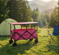 Chariot pliable à quatre roues imperméable rouge et noir spécial marché nocturne avec planche à œufs et pare-soleil pour extérieur