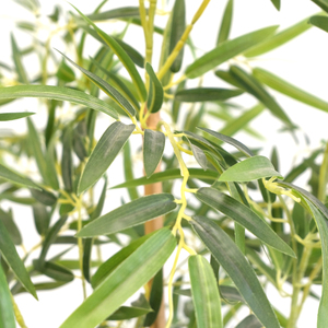Vente en gros de plantes de <span class=keywords><strong>bambou</strong></span> porte-bonheur géantes réalistes avec pot, 160 cm, grande décoration d'intérieur, arbre de <span class=keywords><strong>bambou</strong></span> artificiel - Product Image 3