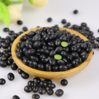 Nouvelle récolte de haricots noirs secs d'origine chinoise avec noyau vert, soja noir pour l'exportation