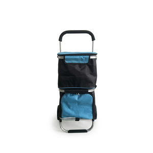 Chariot <span class=keywords><strong>de</strong></span> <span class=keywords><strong>courses</strong></span> pliable en aluminium isolé, capacité 50 kg, roulettes <span class=keywords><strong>de</strong></span> 175 mm <span class=keywords><strong>pour</strong></span> seniors, poignée ergonomique, sac à roulettes <span class=keywords><strong>pour</strong></span> usage quotidien - Product Image 5