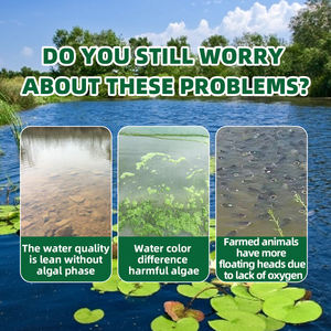 Su Ürünleri Probiyotikleri Klorella Alg Tozu Balık Büyüme Hızlandırı<span class=keywords><strong>c</strong></span>ı Hayvan Probiyotik Vitaminleri Su Kalitesini İyileştirir - Product Image 3