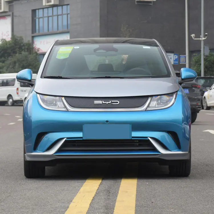 2021 모델 401km 중국 최고 2022 전기 브랜드 새로운 신체 부품 자동차 경매 Bid 돌고래