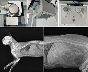 Máy <span class=keywords><strong>X</strong></span> Quang Cho Chó Thiết Bị <span class=keywords><strong>X</strong></span> Quang Thú Y Kỹ Thuật Số Máy <span class=keywords><strong>X</strong></span> Quang Cầm Tay Cho Động Vật - Product Image 4