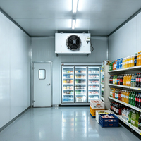 Unidad de Condensación Refrigerada por Aire para Cámaras Frigoríficas y Congeladores, Equipo de Refrigeración de 3HP con Compresor Scroll Emerson R410A