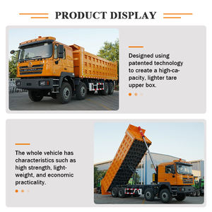 全新351-400hp欧<span class=keywords><strong>2</strong></span>柴油Shacman F3000 X3000 11-20T 8x4左转向12轮自卸车 - Product Image 6