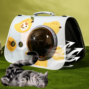 Açık seyahat çantası kedi sırt çantası havayolları tarafından tanınan popüler bir taşınabilir nefes küçük Pet el Crossbody çanta - Product Image 4