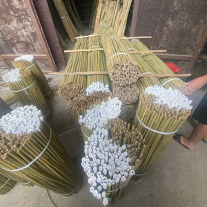 Cannes de bambou naturel pour l'agriculture et l'utilisation en serre - Product Image 5