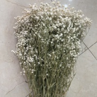 A-Klasse Schleierkraut 120g Blume Gypsophila Beige Großhandel Yunnan Export Outdoor Hochzeitsdekoration Schleierkraut Mehrfarbig