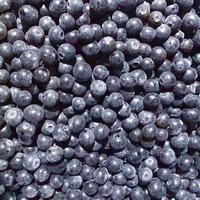 IQF Diepvries Blauwe Bessen Graad A HACCP Gecertificeerd 10kg Bulk Groothandel Hoge Kwaliteit Vers Fruit voor Voedselverwerking
