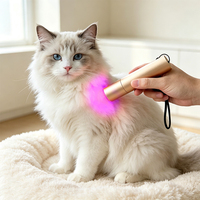 Lampe torche de thérapie par lumière rouge à cinq longueurs d'onde, 5 LED, garantie 1 an, rechargeable, portable, pour usage domestique et animaux de compagnie