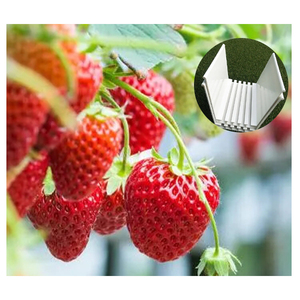 Système d'agriculture verticale NFT, <span class=keywords><strong>pot</strong></span> de culture de fraises en PVC avec design carré, canal NFT hydroponique - Product Image 3