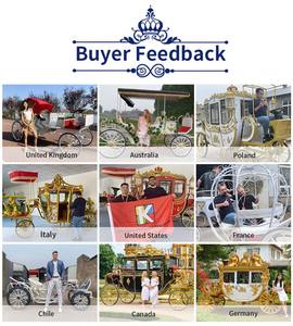 Chariot Royal Électrique à Chevaux Sculpté pour Mariage Prince William, 4 Roues, Charge Utile 400KG, Vente en Gros Usine - Product Image 5