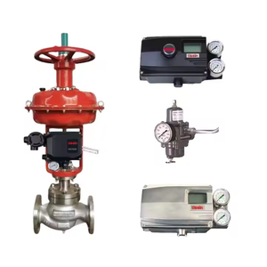 Posicionador Tissin Serie TS600 con Control Chino TS600 - Product Image 3