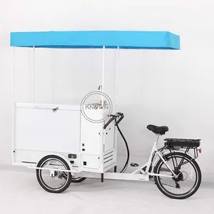 2024 야외 전기 아이스크림 자전거 대형 저장 공간 모바일 냉동고 세발 자전거 음식 배달 장바구니