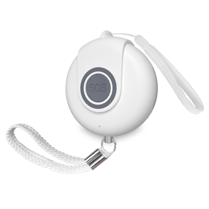 En ligne Exportateur Smart Finder Anti_lost Traqueur Mini Pet Portefeuille Enfant Porte-clés Détecteur D'alarme Localisateur Gps