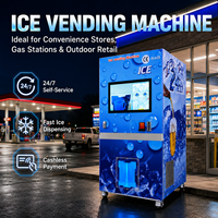 Máquina Expendedora de Hielo Automática, Máquina de Hielo de Autoservicio 24 Horas con Sistema de Embolsado para Gasolineras y Negocios de Playa