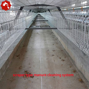 Sistema <span class=keywords><strong>de</strong></span> Jaulas en A para Gallinas Ponedoras con Capacidad para 10000 Aves, para una Gestión Automatizada - Product Image 6