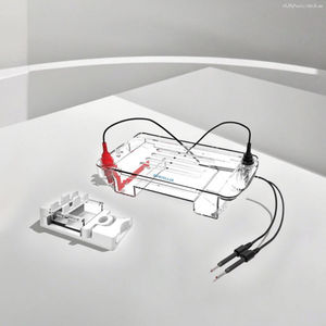 BIOSTELLAR, tanque de electroforesis horizontal, suministros de laboratorio, serie de equipos, precio de distribuidor, - Product Image 1
