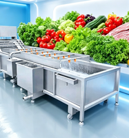 Wassen, polijsten en combineren voor het reinigen van harde oppervlakken, zoals appels, met een bubbelwasmachine