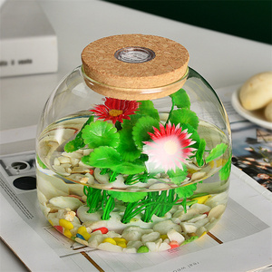 <span class=keywords><strong>Vaso</strong></span> di vetro con coperchio <span class=keywords><strong>in</strong></span> sughero e LED per la decorazione per la casa nordica vasetto per la coltivazione di <span class=keywords><strong>piante</strong></span> idroponiche - Product Image 2