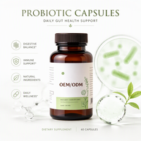 Capsules de Probiotiques à Marque Blanche OEM ODM Akkermansia Muciniphila Complément Alimentaire Herbal Fourniture en Gros