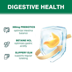 Hot Sale Probiotics Enzyme Capsules Added Digestive Enzymes Prebiotics Gut Health Nutrient Absorption Digestive System Support - Product Image 5