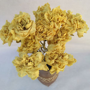 Otras flores y plantas decorativas Venta al por mayor Decoración de la boda Flores secas Prensadas Clavel seco natural real - Product Image 4