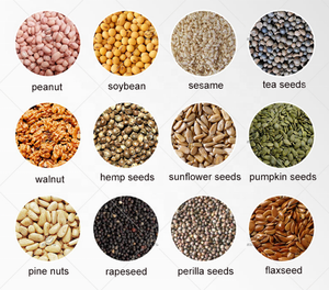 Senyo เครื่องสกัดน้ำมันเมล็ดทานตะวันและกากนันต์อัตโนมัติ, มอเตอร์ประสิทธิภาพสูง100-500กิโลกรัม/ชั่วโมงอเนกประสงค์ราคาถูก - Product Image 6