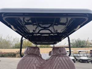 Mejores Precios Nuevo Carro de Golf Negro de 2 Plazas, Vehículo con Batería de Litio/Plomo-Ácido de 48V, 30-50Km/h, Certificado CE, de Acero, 2 Asientos, Eléctrico - Product Image 4