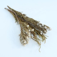 Bunga Kering Bunga Lengket Bahan Berkualitas Tinggi Abadi Dekorasi Dinding Alami untuk Desain Pernikahan Bunga Lavender Kering