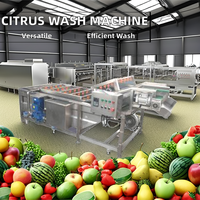 Kleine fruit- en groentewaslijn met bubbelwasser en motor voor citrusverwerkingsbedrijven