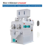 CFN18F CFN25F Blanchisseur de riz horizontal à rouleau d'émeri unique basse température, machine à blanchir la peau de riz