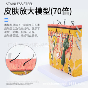,, - Product Image 2