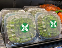 Récipient alimentaire à clapet pour microgreens vivants avec couvercles d'étanchéité Boîte en plastique transparente pour animaux de compagnie 5X5X3 pouces