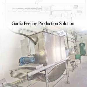 Ligne d'épluchage d'ail à chaîne automatique en acier inoxydable 2 tonnes/H - Product Image 2
