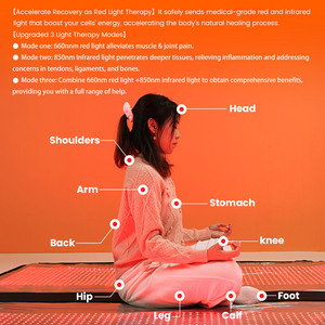Matras Terapi Cahaya LED Terbaik, Diskon Besar, Selimut Terapi Cahaya Merah Inframerah untuk Pemulihan Otot Ideatherapy TLB2000-Y2 - Product Image 6