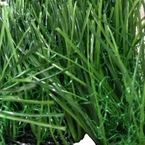 Meisen a basso prezzo erba artificiale 20mm 25mm 30mm per la Thailandia Vietnam India vendite calde <span class=keywords><strong>casa</strong></span> giardino paesaggi tappeto verde - Product Image 1