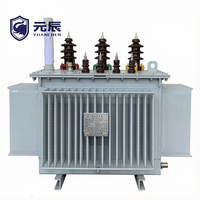 Transformateur immergé dans l'huile à enroulements en cuivre 6kV 11kV 13,8kV 15kV 22kV 33kV 50kVA 63kVA 250kVA 315kVA 500kVA 800kVA conforme à la norme IEC 60076