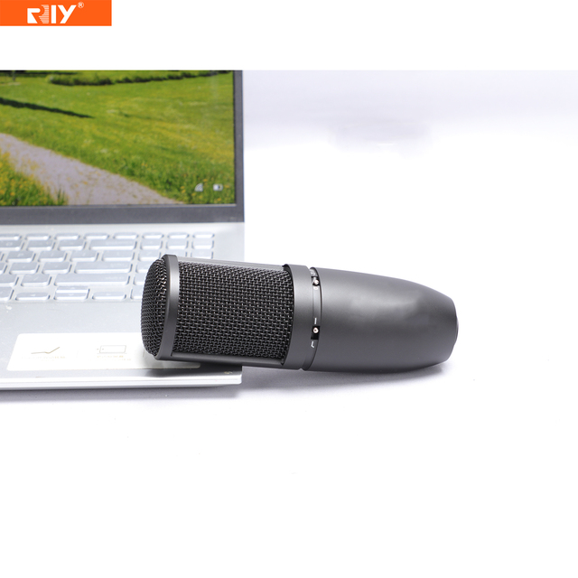 P120 High Quality Live Steaming Condenser Microphone General Purpose Recording Mic Portable for Home Recording,Stage Application