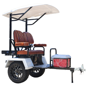 Carrito de Golf Eléctrico Shininglsv con Diseño Combinado de Iluminación Nivelada, 2 Plazas y Remolque - Tipo de Combustible Ecológico - Product Image 2