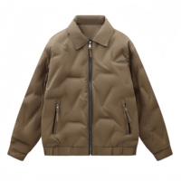 Veste d'hiver décontractée pour homme, personnalisable avec logo, imperméable et chaude, à fermeture éclair, en duvet de canard épais, vente en gros