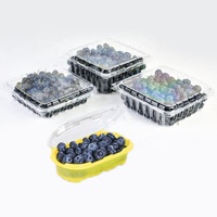 Boîte d'emballage pour fruits Lesui 1LB en plastique PET recyclé, boîte d'emballage pour fruits rouges, boîte à clapet pour myrtilles avec trous