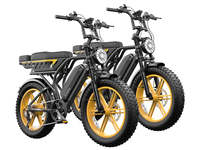 Vélo électrique R9 Ultra à double batterie 15A 25AH, 250W, longue autonomie, suspension intégrale, style cyclomoteur, prix d'usine