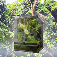 Petit Terrarium Naturaliste Habitat de Forêt Tropicale Verre en Vrac pour Reptile Tortue Serpent Motif Solide Bouton Pression Plateau en Plastique