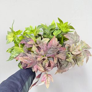 Bouquet de feuilles de lierre artificielles 30cm-100cm, verdure pour décoration intérieure, arrangement de plantes - Product Image 2